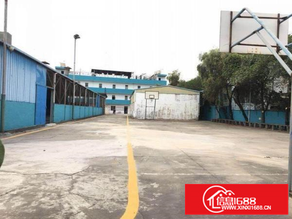 近坂田租和大道观澜高新产业园钢构12000可分租