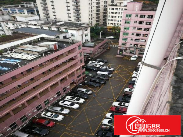 出租坂田上雪科技园东区一号厂房