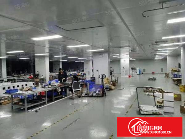 清溪镇中心附近新出无尘车间4200平