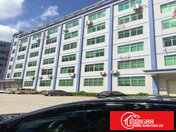 坂田上雪科技园300平方，350平方带装修厂房出租