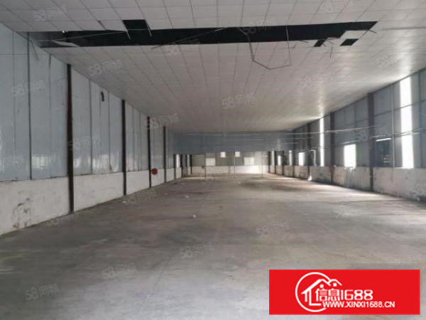 茶山新出原房东钢结构独院单一层厂房出租滴水7米有隔热层办公室