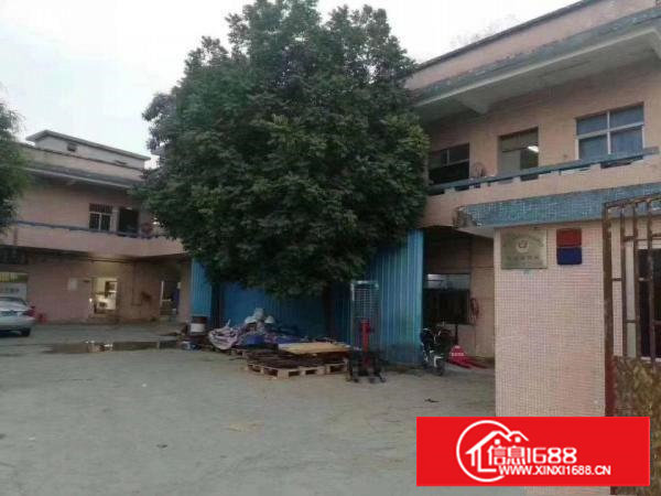 塘厦振兴围小独院厂房1680平方，水电齐全，现成办公室