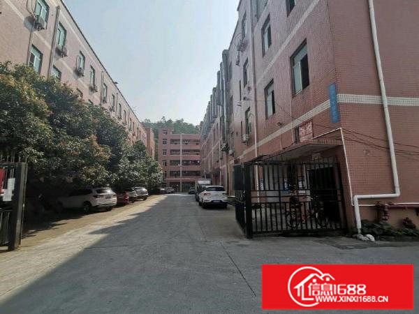 龙岗区园山大康精装修16元，有电梯