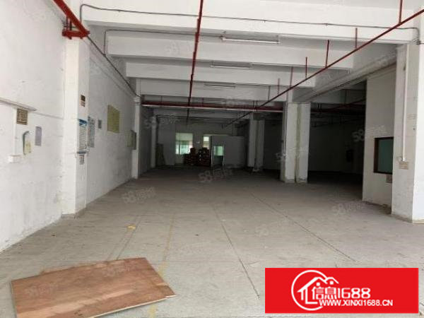 观澜君子布1楼800平,带办公室装修带消防喷淋园区空地大。