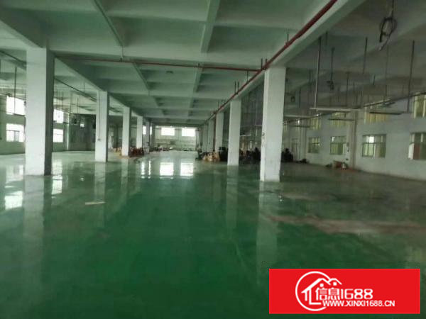 高埗镇大型工业园区出租厂房1500方，大小可以分租