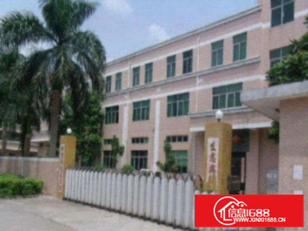 高埗上江城工业区分租标准一楼1000平出租