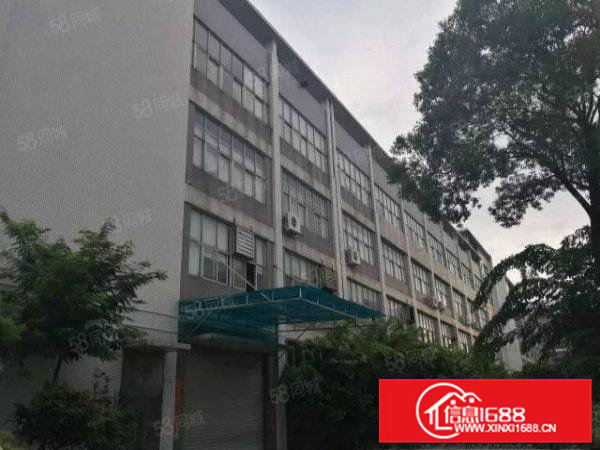 东坑镇角社标准厂房分租一楼1600平方米，带喷淋消防