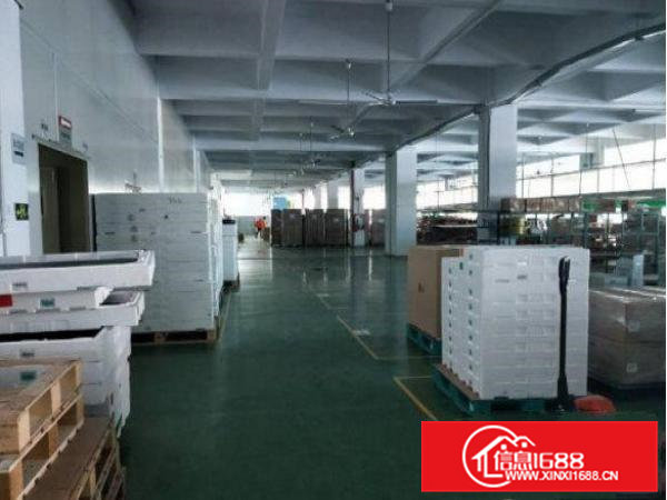 常平司马新出标准共三层3800平米出租