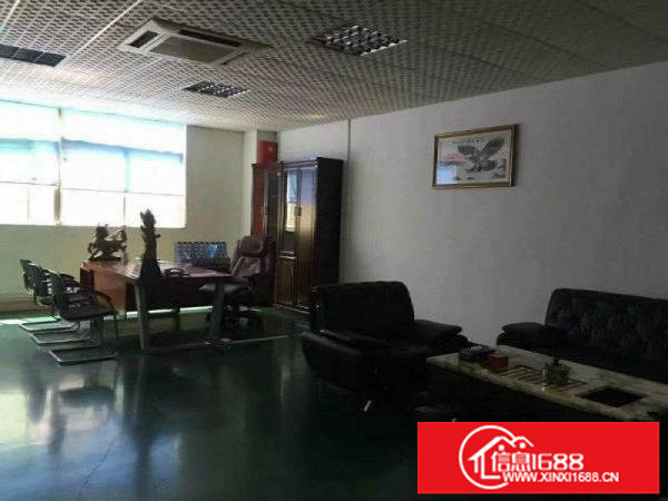 新开靓盘！坪地年丰村，带办公带电梯可分租