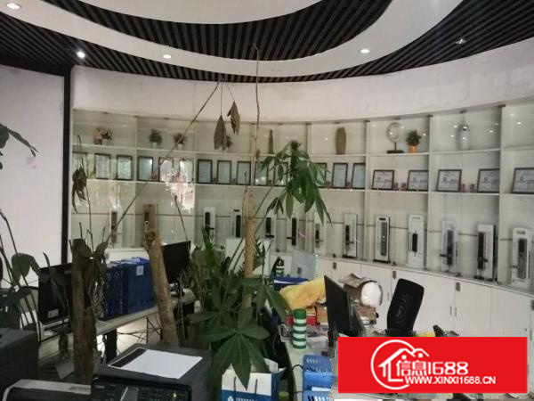 两层独栋电商厂房办公室520平方可分租