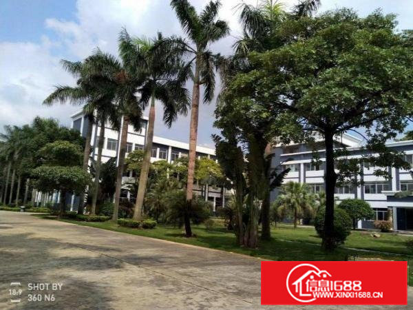 高埗原房东环城路外可办环评