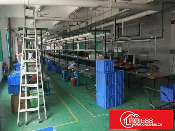 新出！平湖一楼二楼小面积厂房218平起出租，大小分