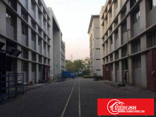 坪山鸳鸯围标准厂房一楼1000平方