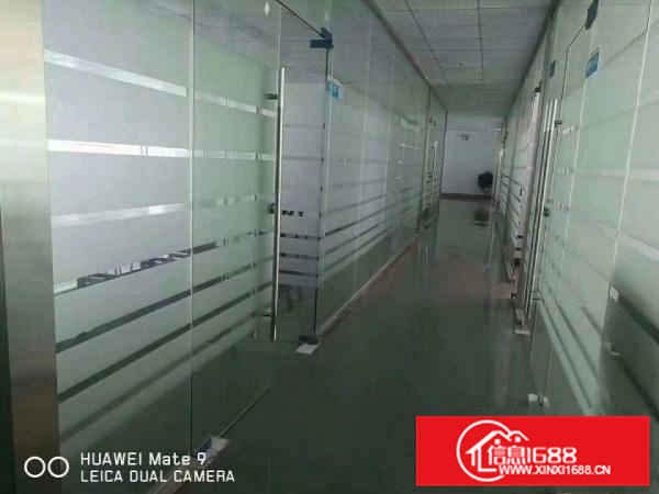 惠阳新圩标准独栋厂房3000平带电梯地坪漆可分租