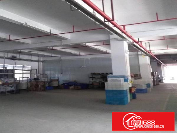 清溪新出独院12000平方豪华装修厂房出租