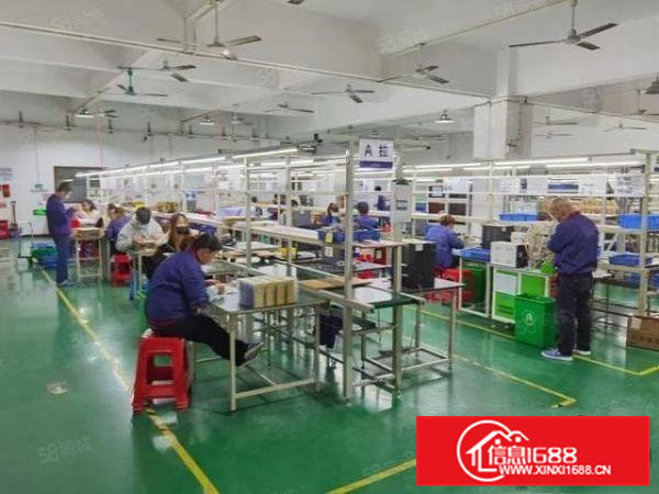 大岭山向东新出带精装修厂房2300平