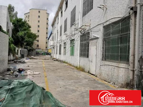 坂田杨美地铁站附近独门独院3300平方三层厂房出租可分租