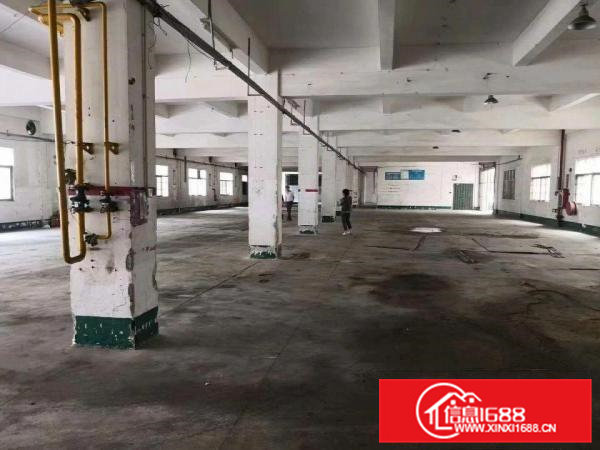 凤岗金凤凰原房东一楼厂房1700平米，价钱美丽。