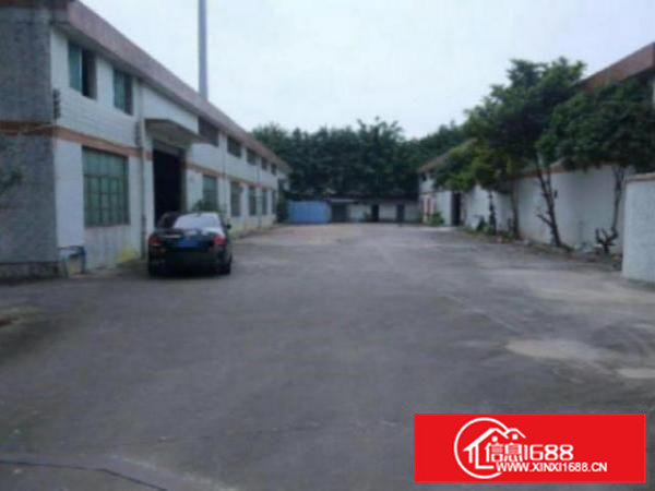 高埗单一层厂房2500平方出租