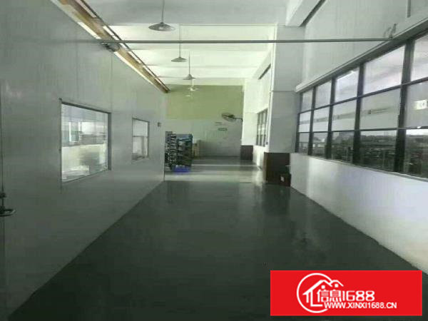 大岭山原房东精装修无尘车间厂房1375平米出租