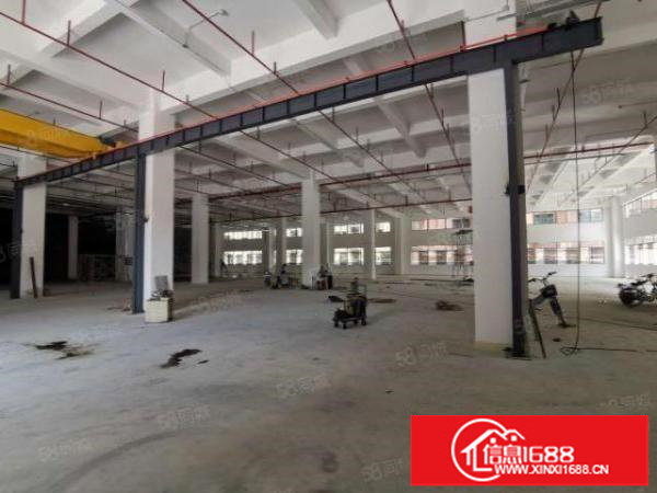 原房东平湖2800平仓库出租近主干道可分租带消防喷淋