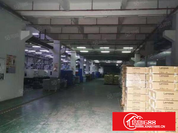 东坑新空一楼厂房5000平层高6米带牛角位带绿地漆