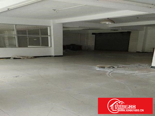 宝马路宝岛皮具内厂房600平米