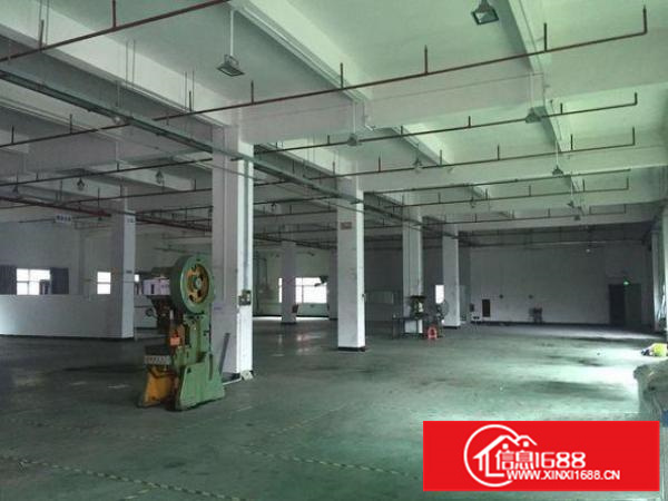 平湖华南城厂房标准一楼分租1200平方高度5米招租