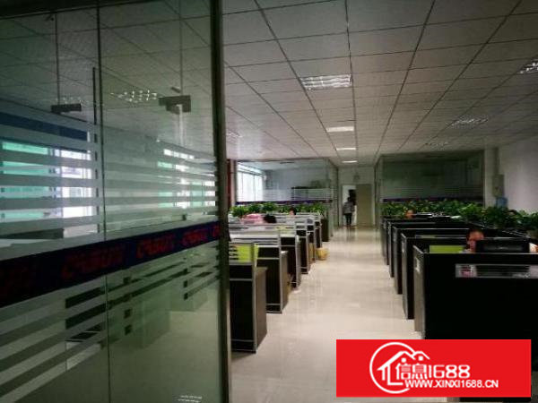 坂田上雪科技园厂房出租/转让，750平，适合办公生产，精装修