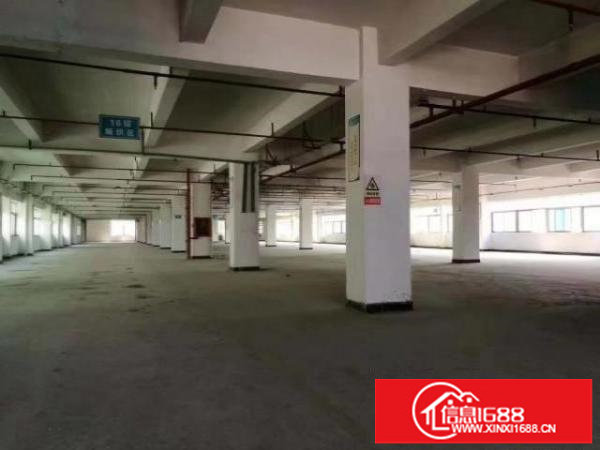 出租龙岗区坪地环城南路标准厂房没有公摊价格便宜