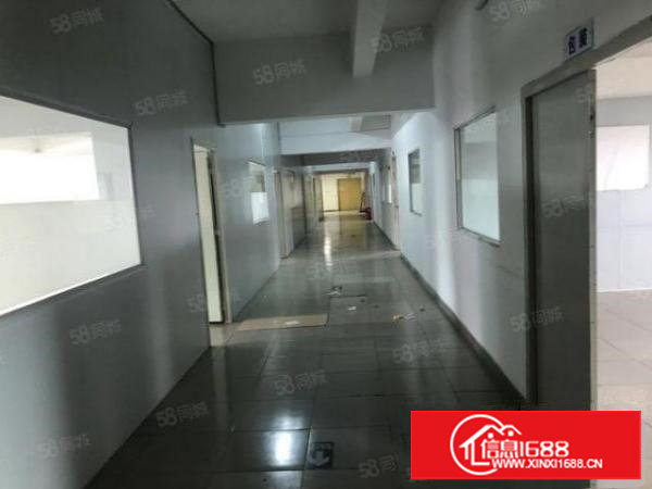 塘厦平山新出经典小独院电梯到顶带阁楼办公楼宿舍食堂