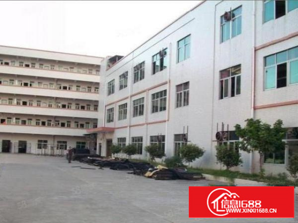 石排原房东独门独院厂房3600平方出租带牛角位