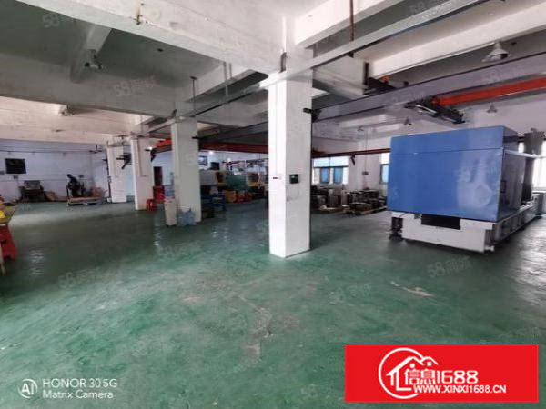 凤岗金凤凰带装修一楼800平出租