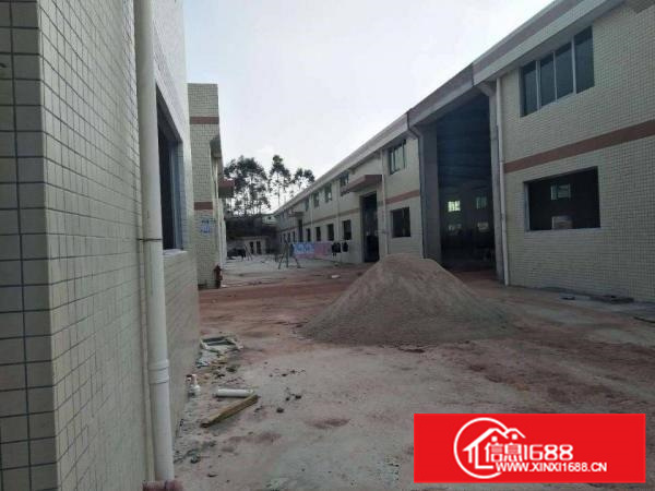 陈江原房东全新独院厂房出租