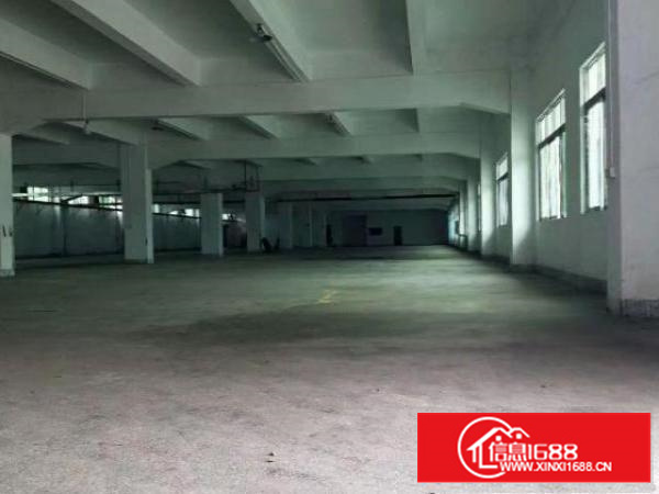 万江石美工业区标准厂房一楼1000平方左右招租水电齐全，厂区