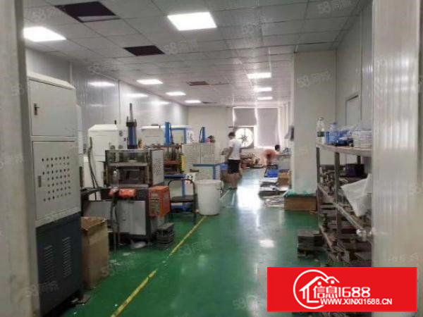 厂房出租750方一整层带办公室装修厂房全新2吨电梯