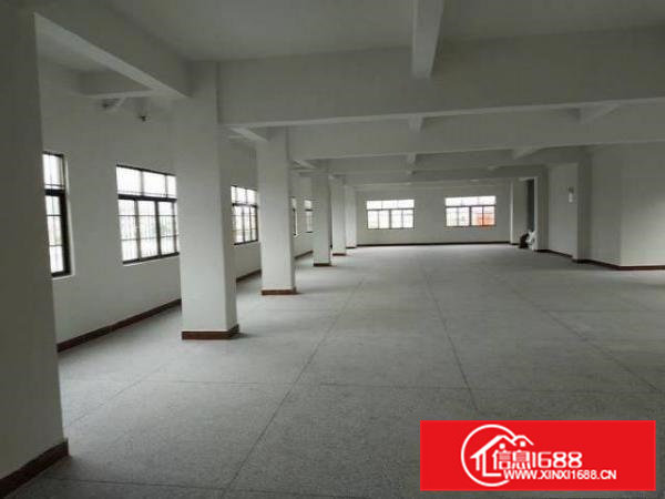 全新10元/平方房屋出租