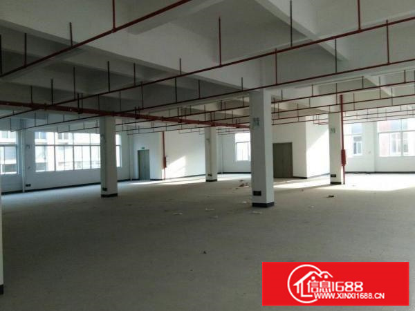 潼侨工业园宏村原房东分租一楼标准厂房900平招租