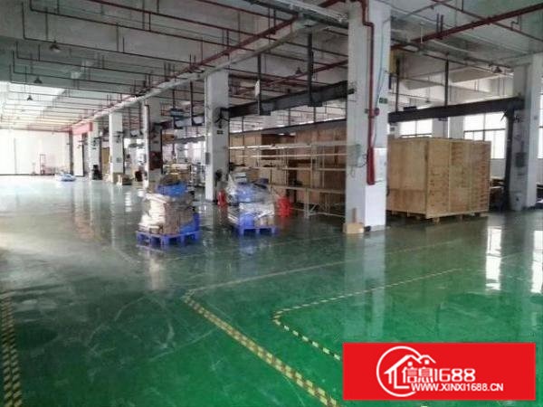 寮步石步一楼1000平方带装修厂房出租高5.8米