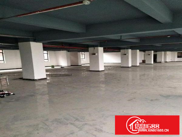 大朗东坑寮步交界仓库96平米