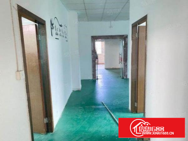 洲石路原房东工业区整层650平米实际面积532平，3间办公室