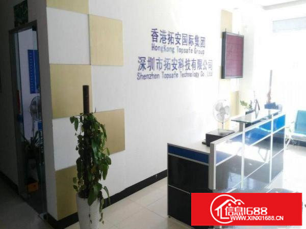 杨美新出2100平方带精装修适合电商办公可分租