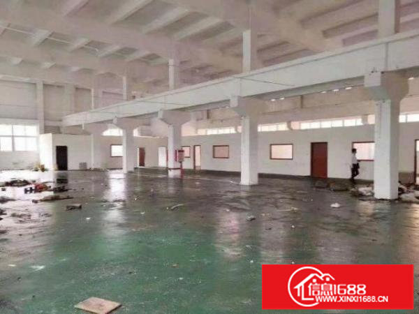 福永白石厦招租1楼厂房460平方！高6米！形象好