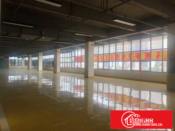 出租凤岗镇雁田物业可做仓库写字楼