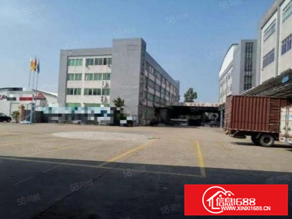 新出顺德区杏坛镇五靓盘招租