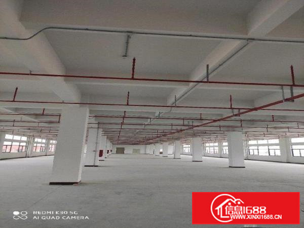 全新标准厂房招租啦！