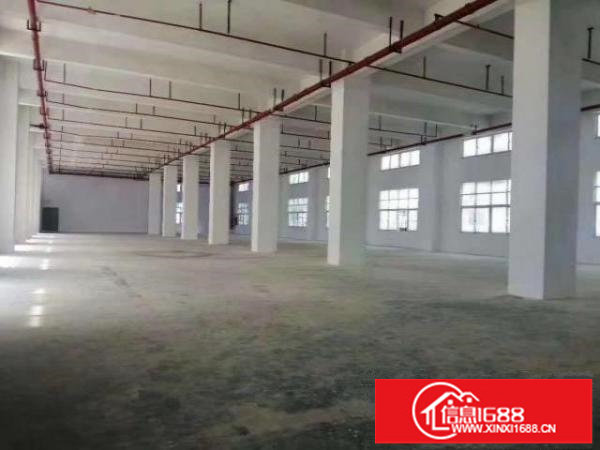全新厂房带装修合同期长