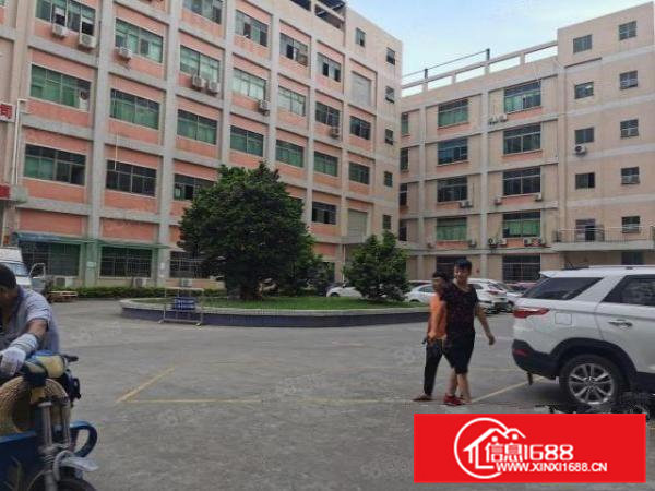 港资企业厂房出租实际面积出租1100平方