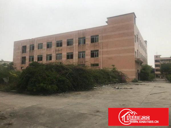 桥头镇原房东独院标准厂房招租