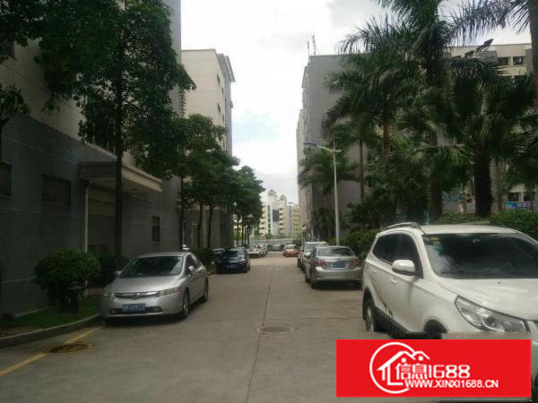 龙华大浪新出楼上带办公室装修600平厂房，拎包入住